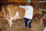 Henry with one of the dairy cow